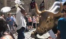 意大利公牛在线观看