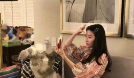 圈内八卦爆料刘亦菲,娱乐圈的神秘女神，揭秘她的不为人知故事